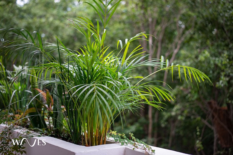 1 Rec. | Amenidades LX | Ubicación Prime