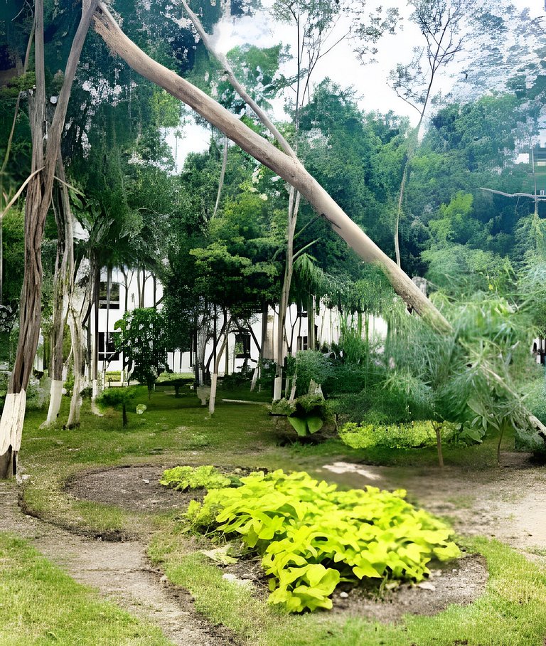 Hermoso Departamento a metros de Festival Zamna